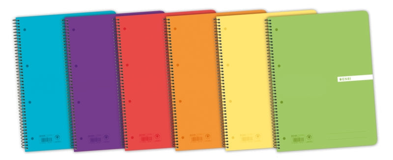 Enri Status Europeanbook A4+ Tapa de Plastico Translucido - Cuaderno con 120 Hojas - Formato 5x5 - Surtido de Colores - Ideal para Apuntes y Dibujos - Cantidad: 5